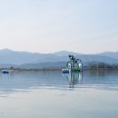 쏘가리상 이미지