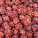 산정농장 이미지