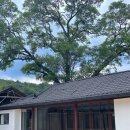 적선지가 덕양점 이미지