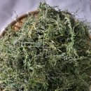 만성농장 이미지