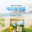 제주네 이미지