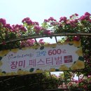 동막 2 이미지