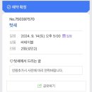 광주 쌍촌동 운천역 술집 텃새 텃밭 겉절이와 수육 묵은지 볶음밥 호랑이 생막걸리