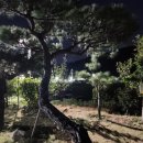 수점로-1 네이버블로그