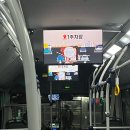 승주카정비센타 | 🚗제주 렌트카 '빌리카' &amp; 🏠제주시 조용한 숙소 '드랑드랑 귤밭동' 내돈내산 후기