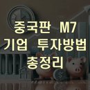 부여(외산)-14 | 중국판 M7 기업 투자방법 총정리