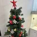 네코스토리 이미지