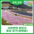 석전동 주민운동장 족구장 | 서천변의 변천사와 꽃길 걷기(광양읍)