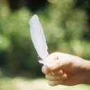 문화로-R 이미지