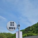 강촌캠핑장 이미지