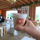 메밀라운지 | [양양] 메밀 라운지, 중형견 동반 후기