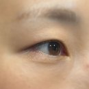 안양일번가 속눈썹펌 핑크레이디 후기 노글루 자연스럽게 짱짱한 볼륨