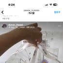 메르플라워 이미지