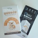 알파 | 바른 뉴트리펫 강아지 알파유산균 후기