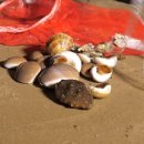 (신)바다이야기 이미지