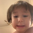 생활영어 (B) | 링글 AI 영어 면접 후기 (26-2 성균관대 교환학생 면접)