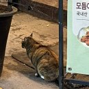 허심청 일대1 | 부산여행 1일차 | 대한항공 KE1803, 허심청, 모모스커피 본점, 라발스호텔, 보수동 책방골목, 이재모...