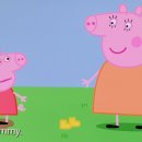 애니피그 이미지