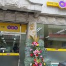 분당-314 이미지