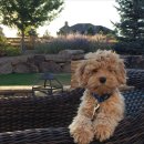 발편한동물병원 이미지