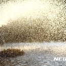 대구광역시시립북부도서관 이미지