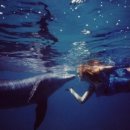 그랑블루 이미지