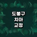 서울 도봉구 치아교정 잘하는 전문치과 병원 추천 | 비용 후기 설측교정 돌출입 앞니 투명 무턱 부분...