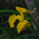 소금강 33-69 | 우리땅 순례(117)산청(6)신등면 대성산정취암~ 정수산 율곡사