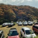 추원모차골 이미지