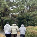 애월이우다 이미지