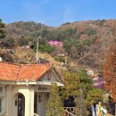 포천 허브아일랜드 관광안내소 이미지