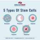 홈스피탈내과의원 | 줄기세포 당신이 정말 궁금한 것들