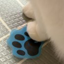 소태실천 | 생각을 좀 하고 살자