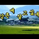 애정이 꽃피던 시절 - 나훈아(羅勳兒) - 강촌에 살고 싶네 이미지