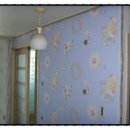 도배나라 이미지