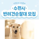 수원-0799 이미지