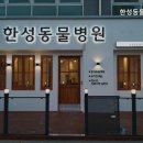 한성동물병원 이미지