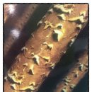 다대온천 이미지