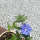 소소공방 이미지