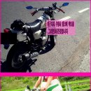 생뚝 이미지