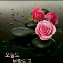 동성농장 이미지