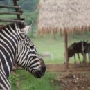 ㈜즐거운여행 이미지