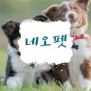 네오펫동물메디컬센터 이미지