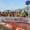 죽림 해안로 이미지