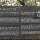 조삼모아 이미지