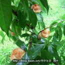 한민농장 이미지