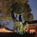 조선에옛날통닭 | 정조의 도시에서 보내는 추석 저녁, 수원 통닭거리(대봉통닭) &amp; 조명이 다 한 화성행궁 야간개장 달빛...