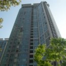 분당-239 이미지