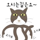 성남대로779번길 이미지