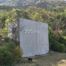 카페수피아 - 남양주시 금강로 1509-9 | 울산 언양 분위기 좋은 카페 수피아 솔직후기